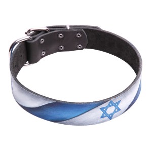 эксклюзивный ошейник с рисунком «Israel Pride» для собак